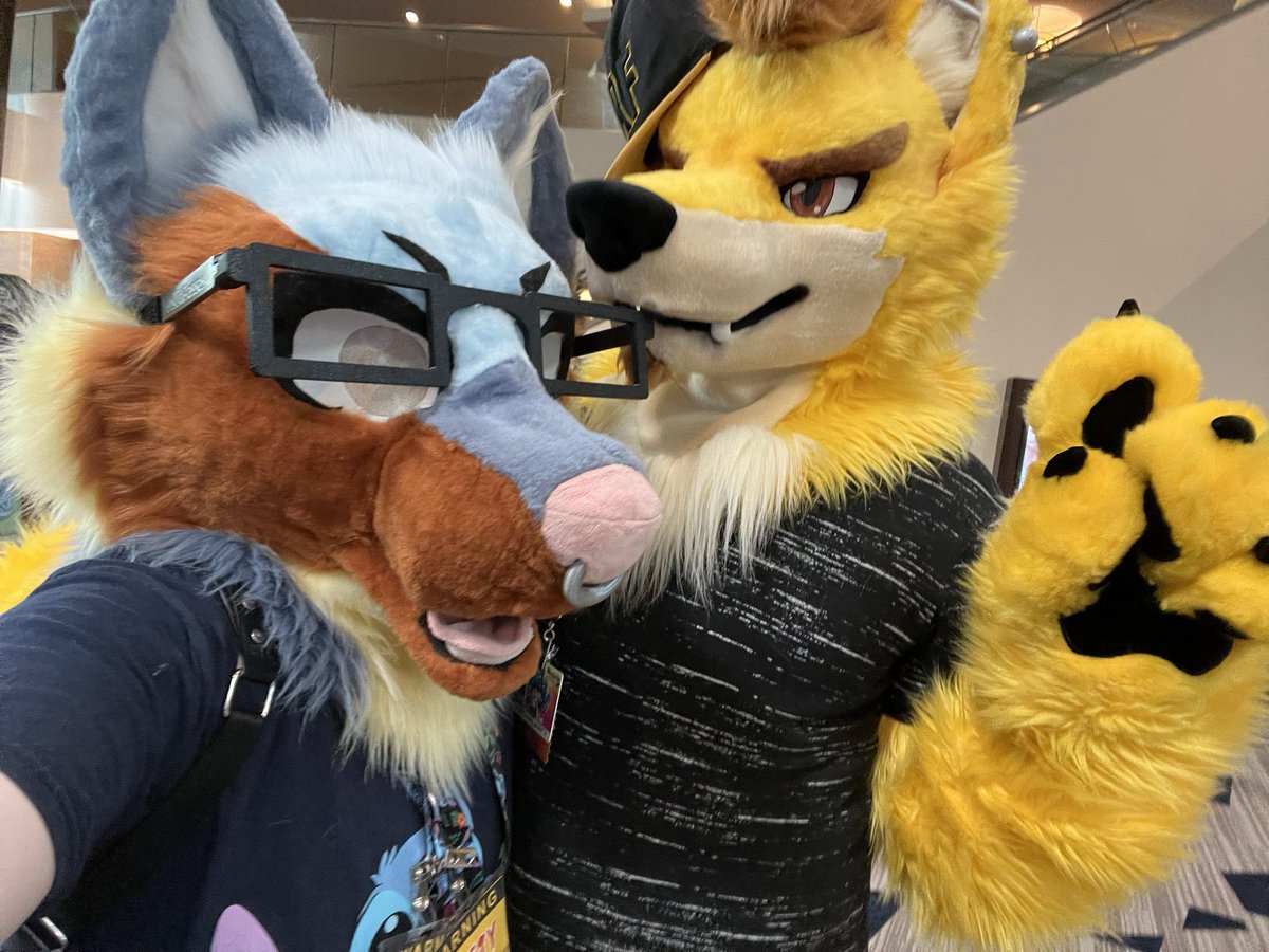 06451Emerson's tweet photo. @DaxterDingo Last night in Lapis’s TikTok Live Stream, I saw you on there and met you at MegaPlex https://t.co/DVW7Q6hDvk