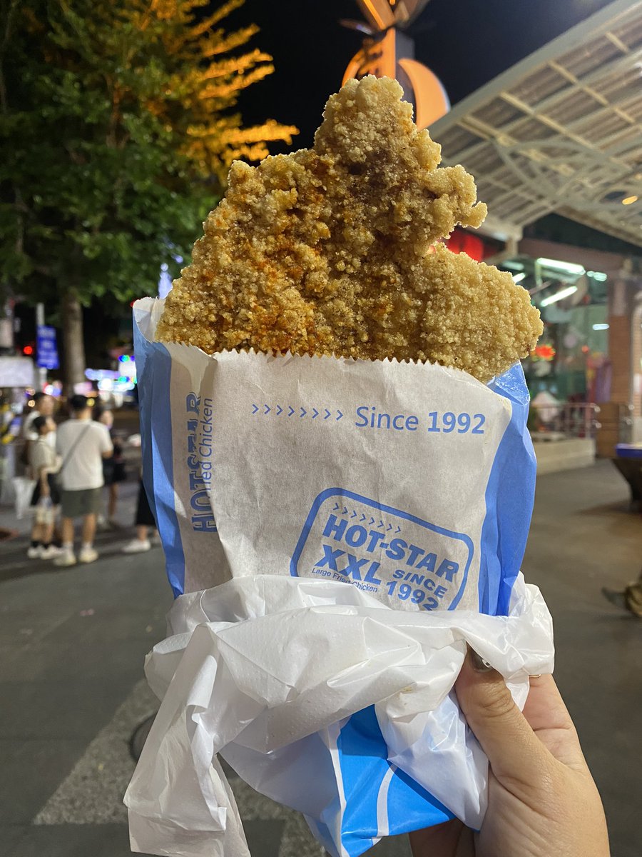 XXL chicken I ate from the Shilin Night Market in Taipei!!!!