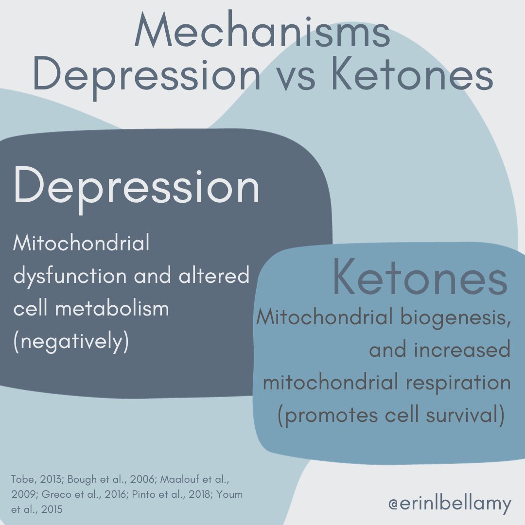 Next up in mechanisms of #depression vs #ketones, did you know this? This will not be new for those who have read #brainenergy!  
I have also added sources for you if you want to learn more. 
#KMTmechanisms #metabolicpsychiatry #ketoformentalhealth #ketodiet #MentalHealthMatters