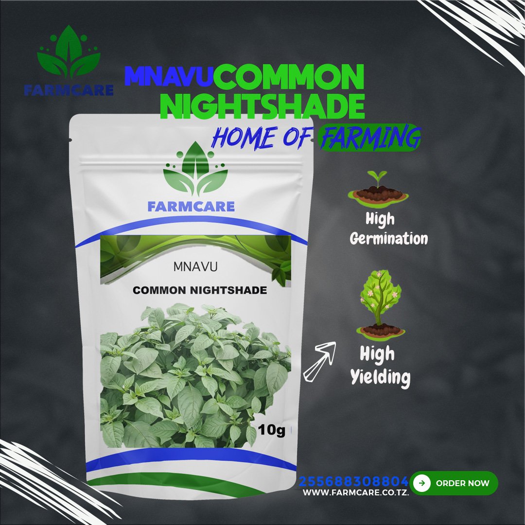 Pembejeo_Agric's tweet photo. Wengine hupenda kuuiita #MNAVU lakini wengine pia hupenda kuita #COMMON NIGHTSHADE..
Ni MNAVU ule Mwembamba ule Mnavu unaopendwa sokoni lakini pia pamoja na walaji.
Upo kwenye ujazo wa 10gm pamoja na 25gm.
Karibu @FarmCare Company Limited uweze kuwasiliana nasi, ☎️ 0688308804. https://t.co/VJ78ZJ1aUm