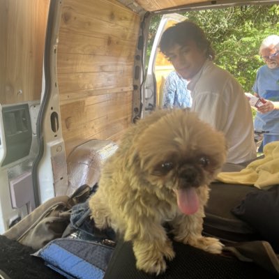 A being named Mountain tweet media