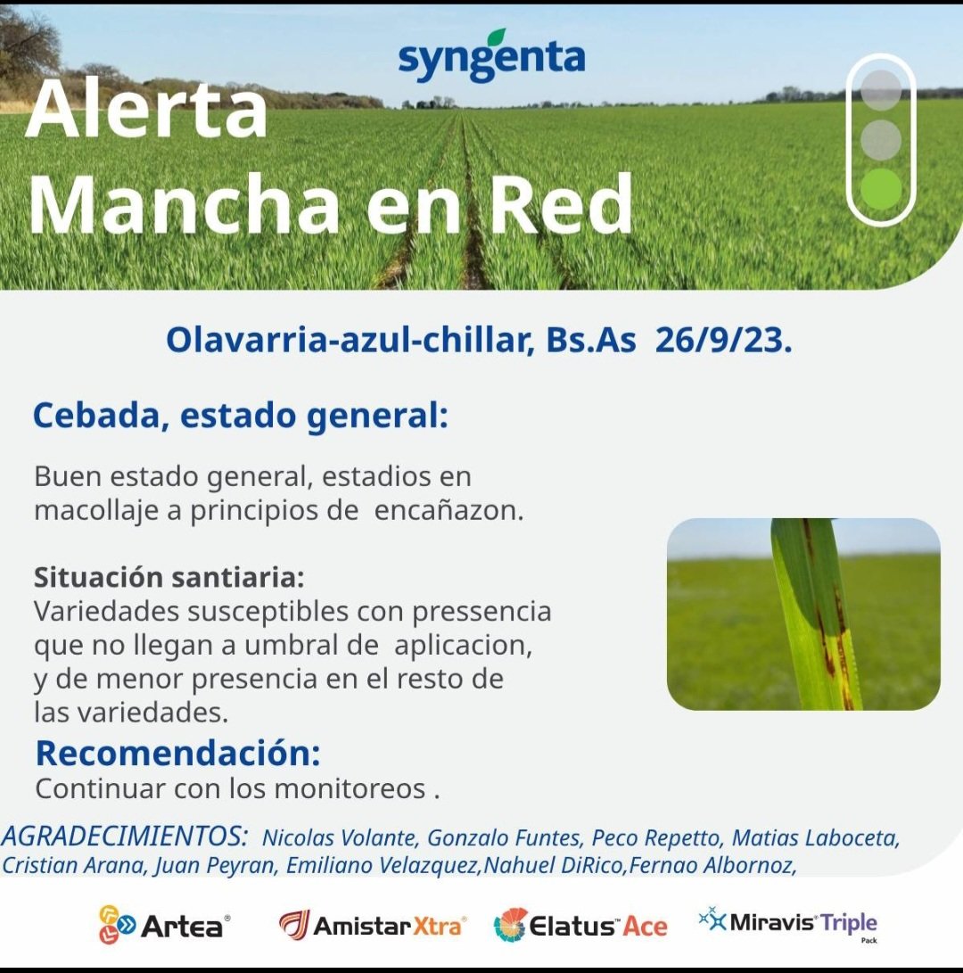 Mati_flores22's tweet photo. Como vienen las enfermedades 🍄esta semana!! 
Nuestro semáforo esta de todos los colores, Roya predomina  en todas las zonas y con mayor presencia en materiales susceptibles.
Hilos por zona.
#AmistarXtra #Arteq #MTP #ElatusAce 
@Syngenta_ar 
📍Olavarria-Azul-Chillar https://t.co/jruQ6VbVtA