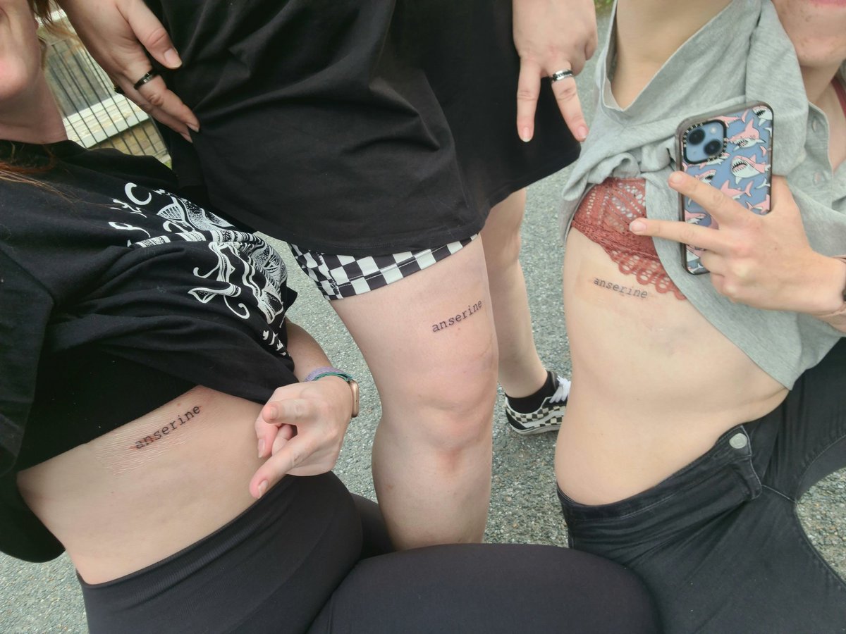 __jacquelinex's tweet image. something about silly geese.
HONK 🪿🪿 #committothebit