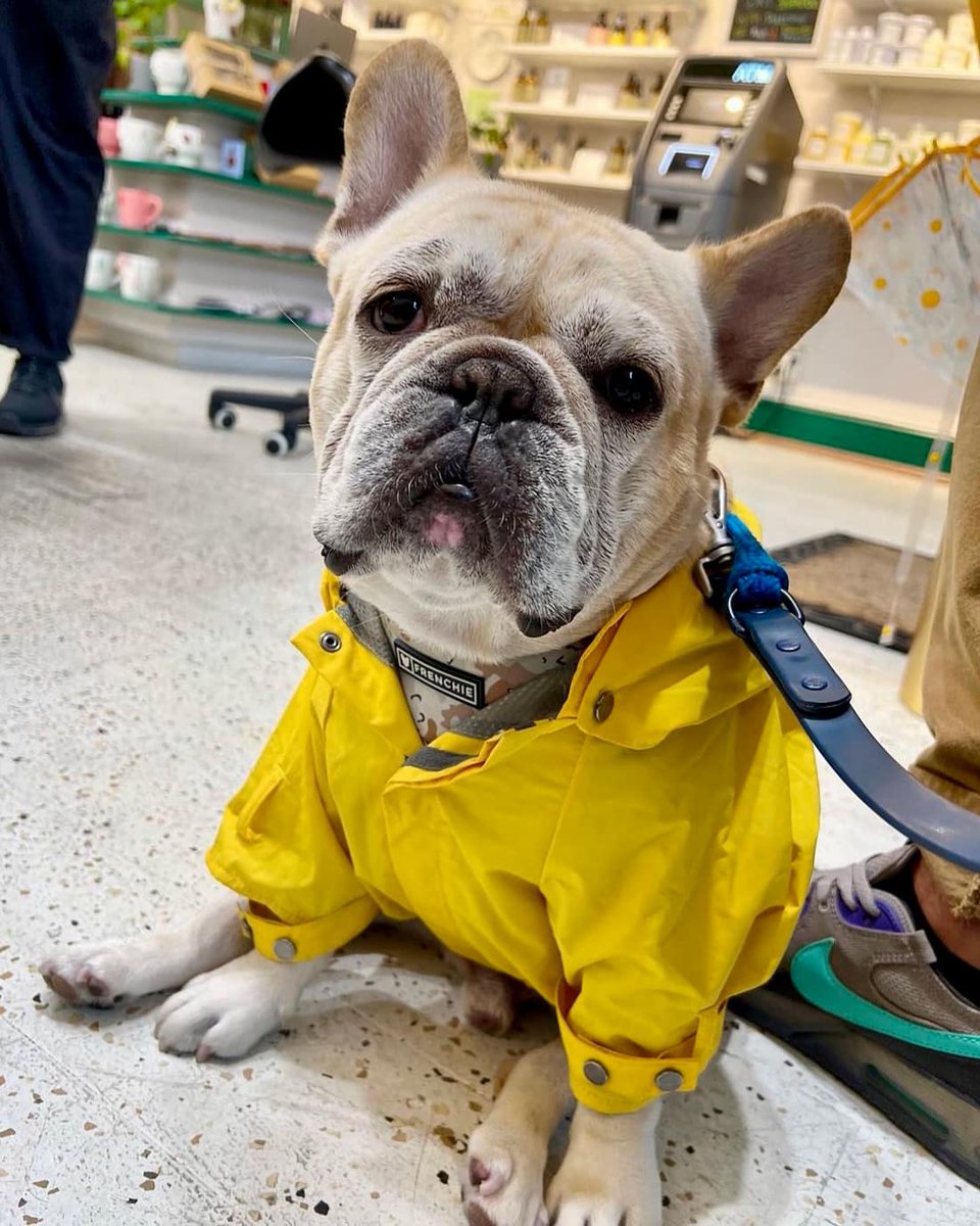 Is it ever gonna stop raining?” - Winston, probably ☔️