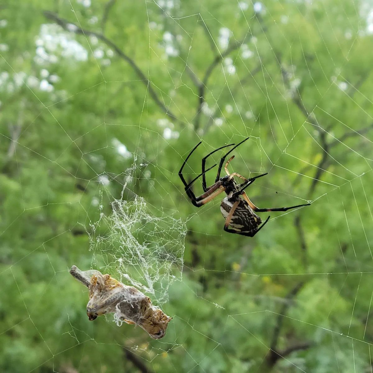 EmmaGoldmanBookClub tweet media