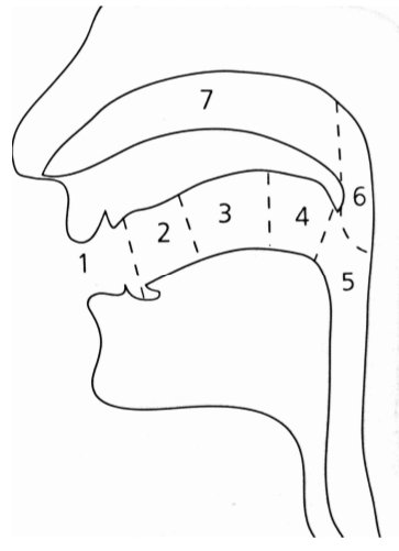 Annabel Spinks-Jones 💬 tweet media