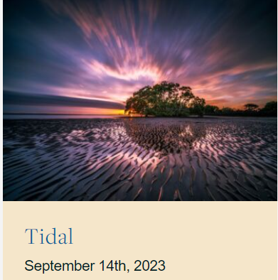 suzannegiesemann.com/tidal/