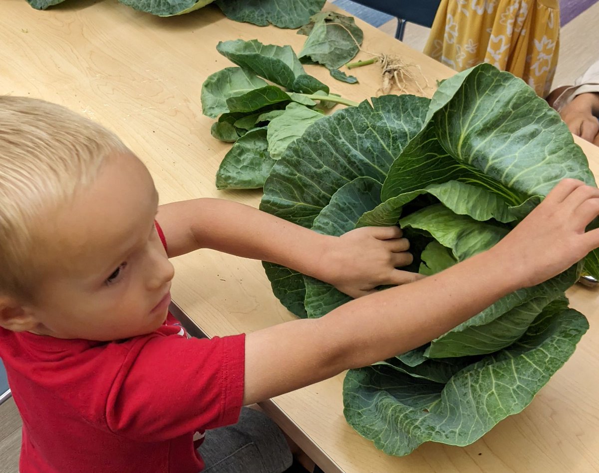 Farm to School Frederick (@f2sfrederick) on Twitter photo F2S Local Harvest For Growing Minds program comes to <a href="/FCPL/">Fresno County Public Library</a> Urbana Regional Library. Youth explored how food arrives on our plates, examined full #vegetable plants & made #rainbowsalads with fresh food #FrederickMD grown. #ThriveTogether #EatLocal #GrowingMinds F2S Local Harvest For Growing Minds program comes to <a href="/FCPL/">Fresno County Public Library</a> Urbana Regional Library. Youth explored how food arrives on our plates, examined full #vegetable plants & made #rainbowsalads with fresh food #FrederickMD grown. #ThriveTogether #EatLocal #GrowingMinds