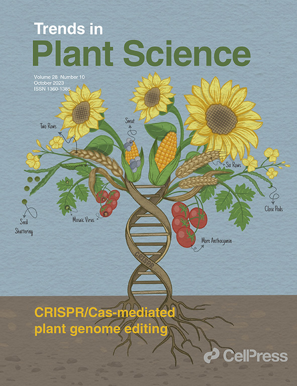 GoeHensel's tweet image. I am mega proud of this achievement 🎉
1. Some @COST_PlantEd WG1 members summarized the challenges related to CRISPR in plants 10 years after its first publication.
2. Our paper was highlighted as a cover story, and my wife, @Pounehnsl, made the drawing ❤️
cell.com/trends/plant-s…