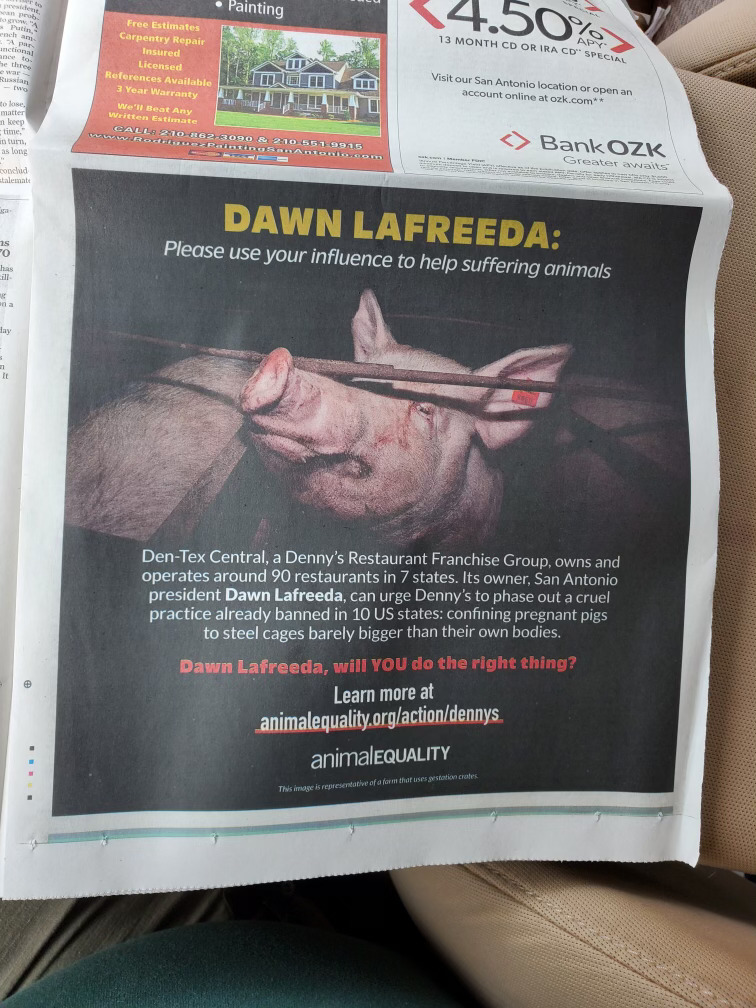 Show Her The Money (@showherthemoney) on Twitter photo 😮Look what I came across... An ad in the <a href="/ExpressNews/">San Antonio Express-News</a> calling on <a href="/DawnLafreeda/">Dawn Lafreeda</a> to do something about what Denny's is allowing. Pregnant pigs are enduring extreme suffering living in cages and <a href="/DennysDiner/">Denny’s</a> stays silent! #itsdinertime #dawnlafreeda #showherthemoney #dennys 😮Look what I came across... An ad in the <a href="/ExpressNews/">San Antonio Express-News</a> calling on <a href="/DawnLafreeda/">Dawn Lafreeda</a> to do something about what Denny's is allowing. Pregnant pigs are enduring extreme suffering living in cages and <a href="/DennysDiner/">Denny’s</a> stays silent! #itsdinertime #dawnlafreeda #showherthemoney #dennys