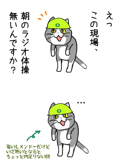 クックック…。お前もラジオ体操無しでは生きられない身体になったか… #現場猫