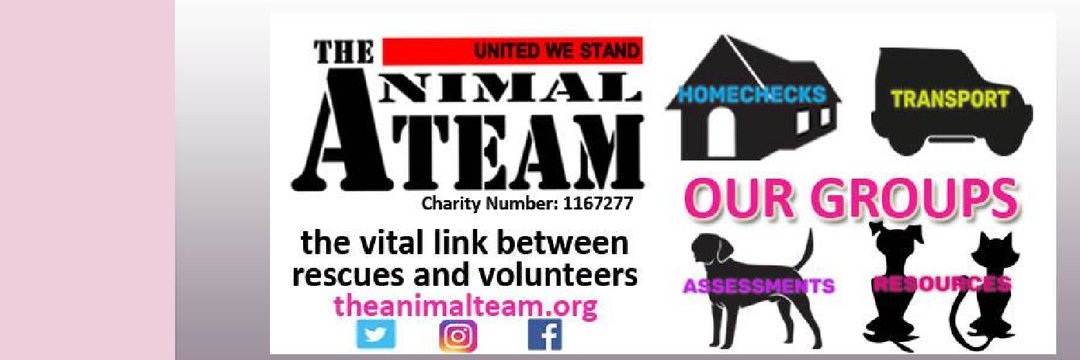 theanimalteam.org @The_Animal_Team #PleaseHelp