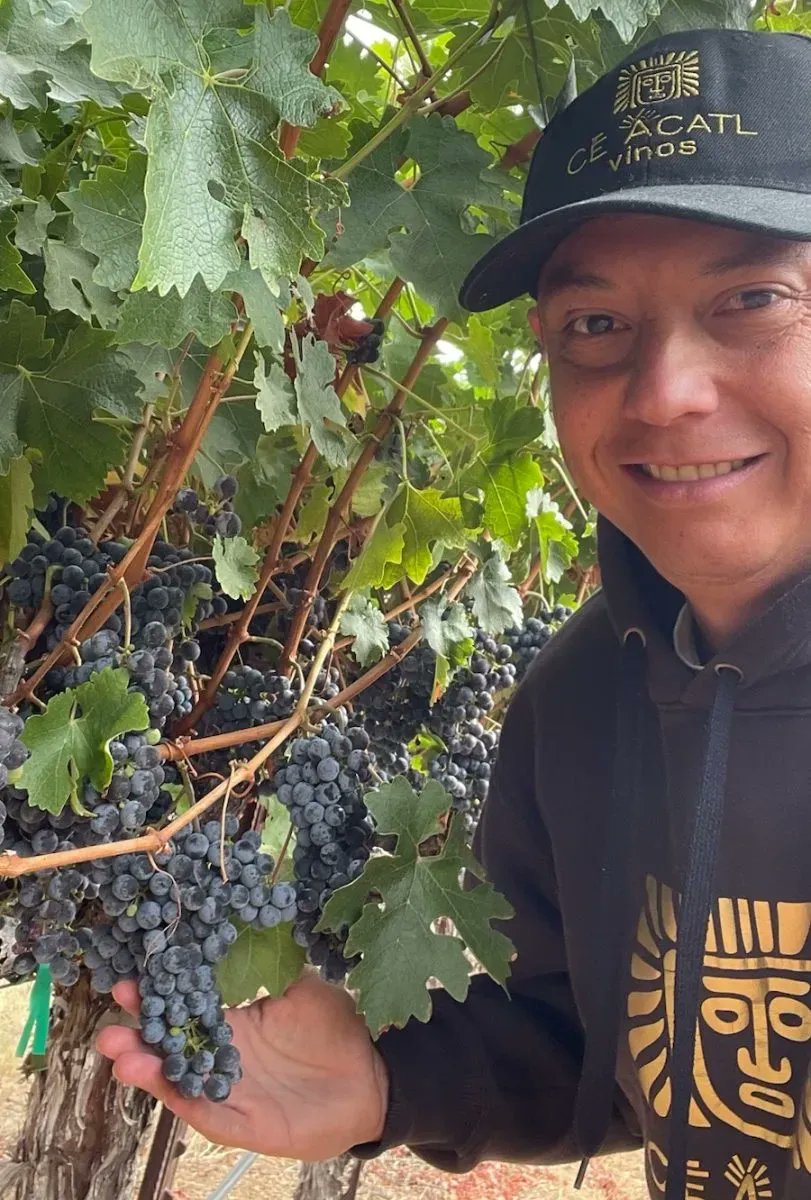 An interview with the 'Wine Doctor' – winemaker Cesar Reyes #MexicanWIne #BigDifference #blog buff.ly/3E2XvGO