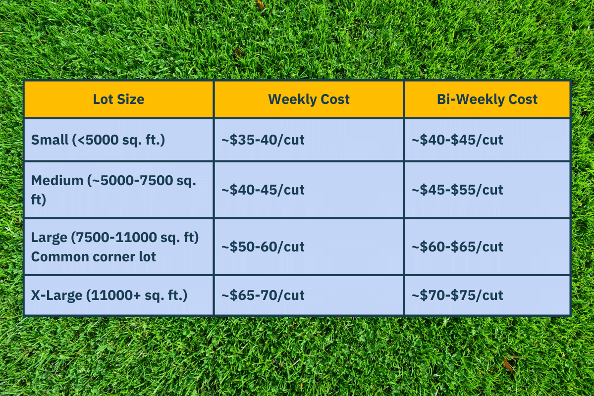 These are the average lawncare prices for the biggest neighborhoods in Dallas: Preston Hollow, Lake Highlands, White Rock and Highland Park.

homr.io/blog-detail/da… 

#lawn #lawncare #dtx #grass