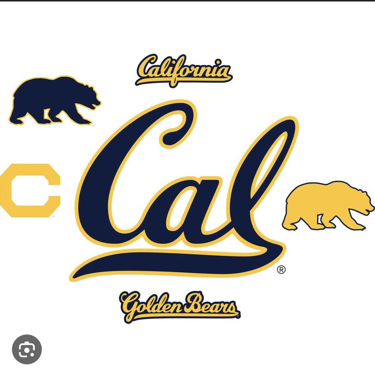 adrian steele tweet media