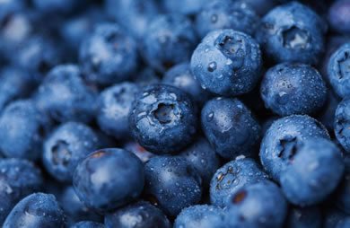 Herbal supplements 🌱 over 25 years holistic and Lyme-literate healthcare practitioners 🌱 pickvitamin.com/shop-by-brand/… 🌱 apexvitamin.com/shop-by-brand/… 🌱 abebox.com/shop-by-brand/… 🌱 amritavitamin.com/shop-by-brand/… 🌱 Neotypestation.com/shop-by-brand/… 🌱 Irvinevitamin.com/shop-by-brand/… 🌱 springvitamin.com/shop-by-brand/… 🌱