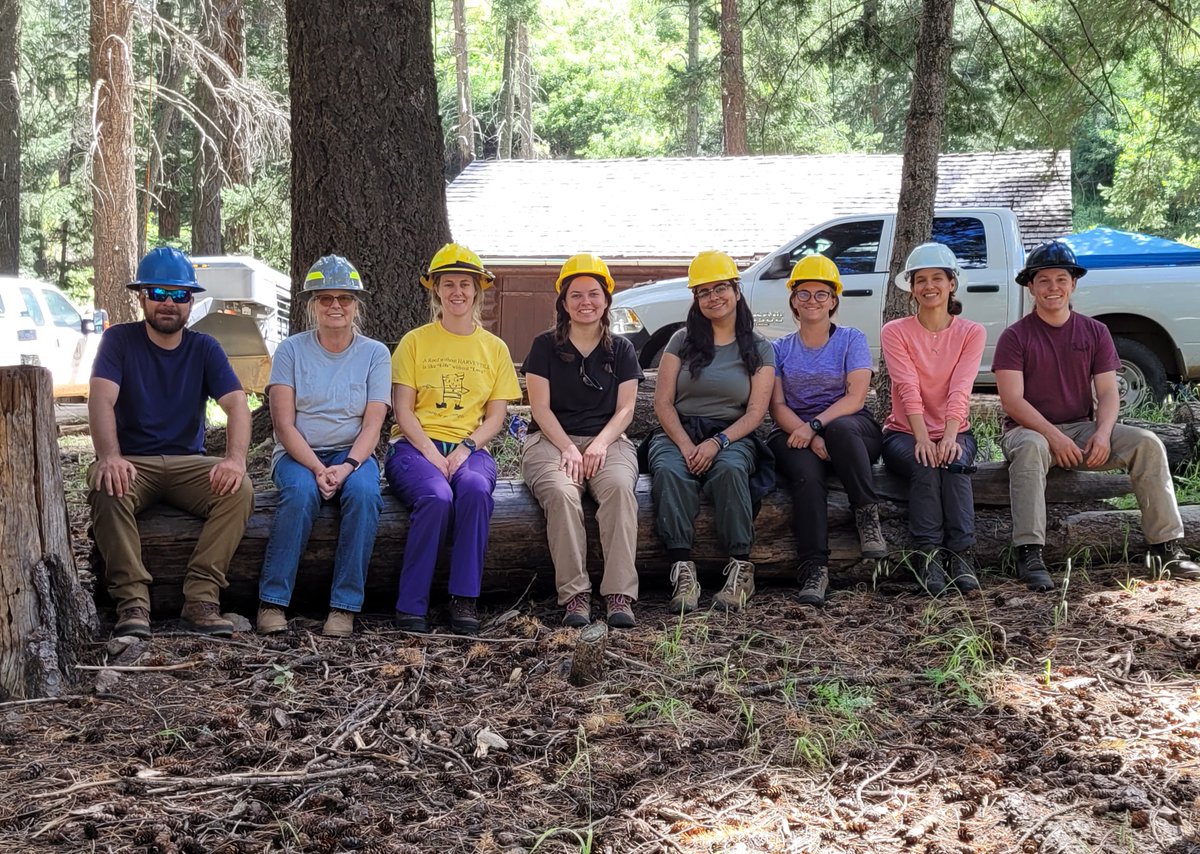 CoronadoNF's tweet photo. In five days, 10 Forest Service tree climbers collected approximately 28,500 Douglas-fir cones to help ensure the future health of the Coronado National Forest.
These seeds will be stored at  Lucky Peak Nursery  until needed for reforestation after a wildfire. https://t.co/AvG3oUCXqg