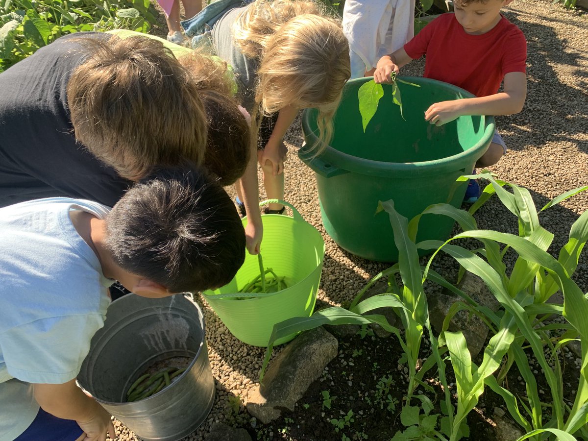 What a beautiful day to be back in the Heathcote garden again! #heathcotepride
