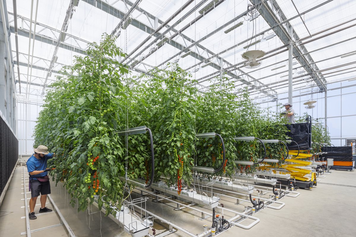 More than a greenhouse, <a href="/CFAES_OSU/">Ohio State - CFAES</a>'s new CEARC facility is designed to support important agricultural research in developing transformative solutions to create greater food security through improvements in agricultural vitality. MA Design teamed with <a href="/ErdyMcHenry/">Erdy McHenry Architecture</a> the project.