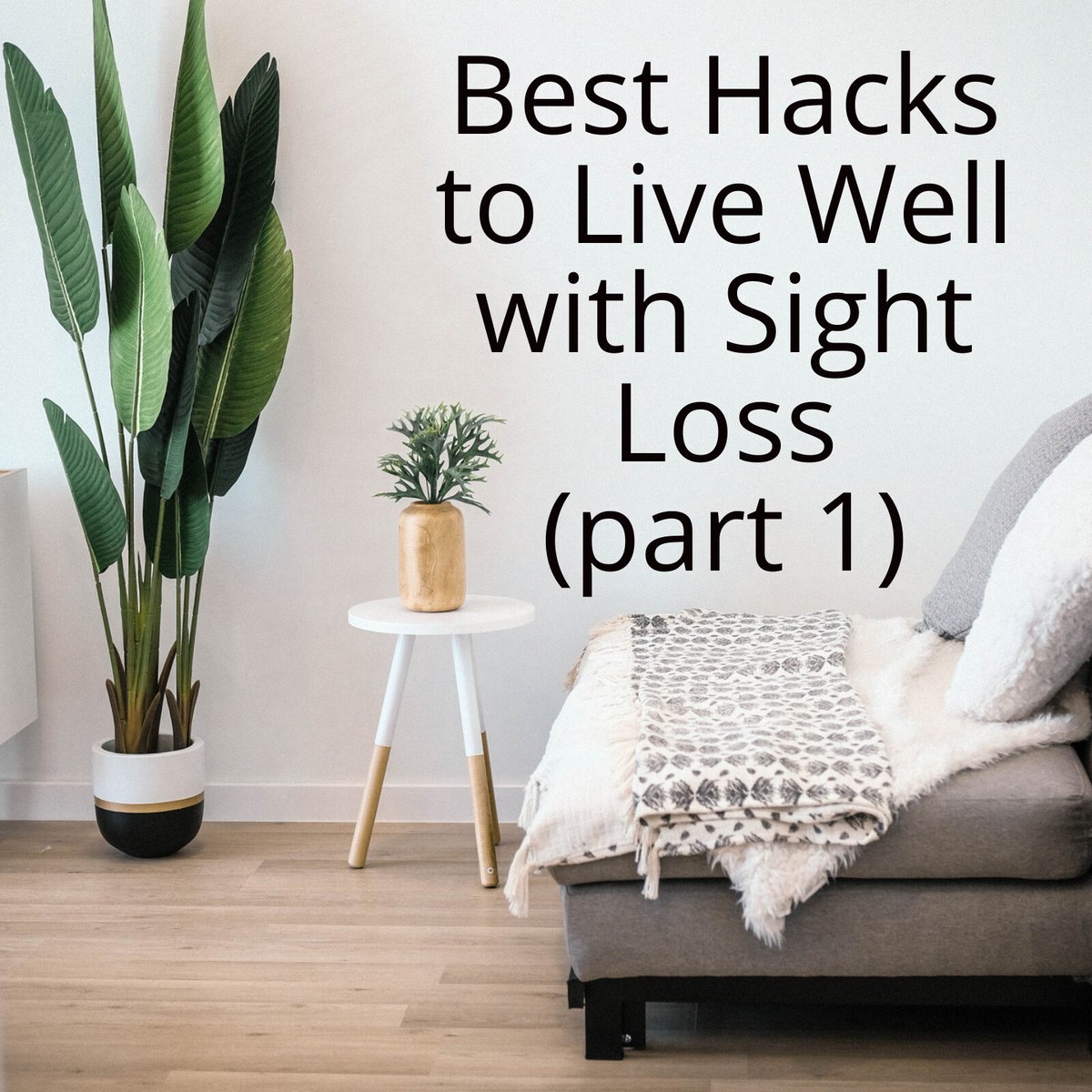 San Diego Center for Blind and Vision Loss tweet media