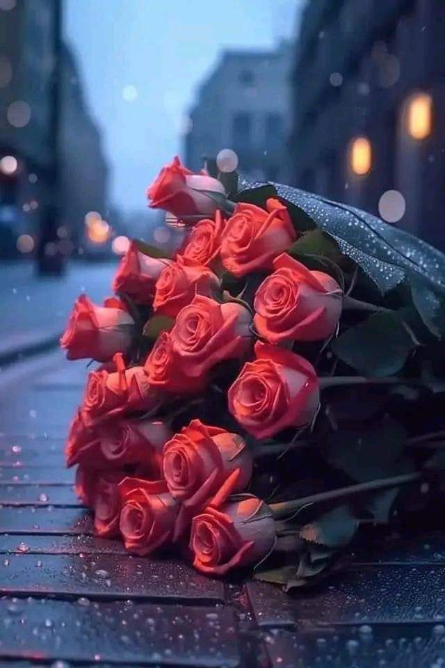 BahaaAbbas7's tweet photo. https://t.co/7R46N9Y6Yr