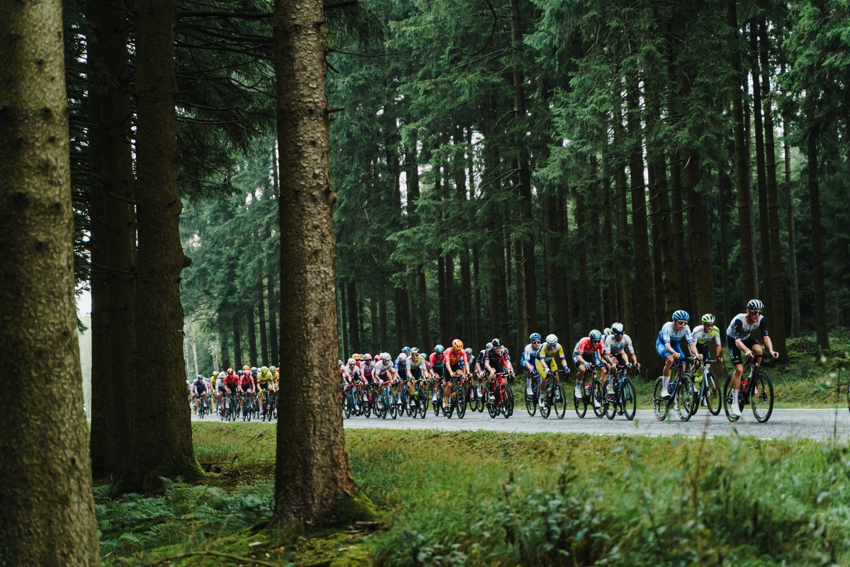 Yesterday, #grandprixdewallonie !
#cyclinglife #Cyclingshots