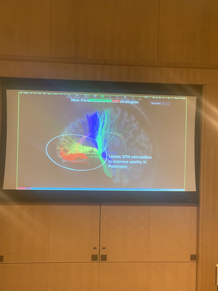 indrit_begue's tweet photo. Exciting results of @Martijn_Figee_ at the @Brain_Circuits #BraSSS meeting of circuit-specific behavioral effects and use of DBS for apathy in Schizophrenia and Parkinson. https://t.co/iJJvaIxcbf