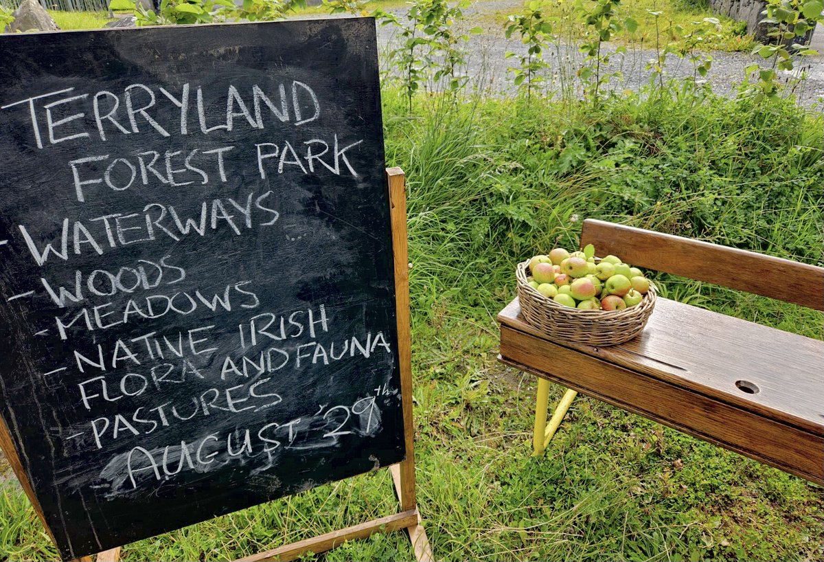 speediecelt's tweet photo. The #EdibleForest. The first autumn harvest in the #TerrylandForestPark #Galway was carried out by Eoghan &amp; team from #ARM Technologies who collected apples from our linear orchard in traditional willow baskets @GalwayNPC https://t.co/7YAJPktzKI