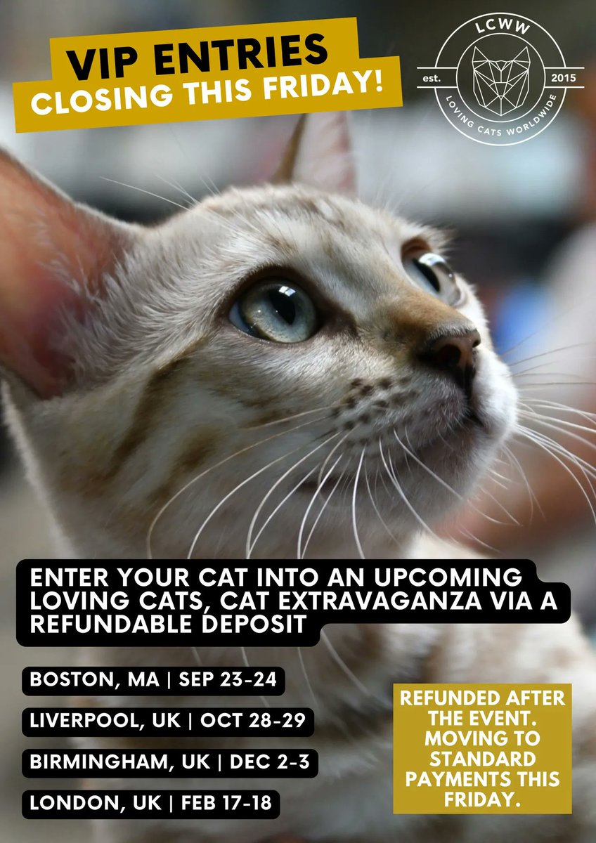 LCWWGroup's tweet image. We're offering a 100% refundable deposit for cat entries right now until Friday! 🙀 
Enter your cat here!: buff.ly/3NSagts
Think your cat has what it takes to win points and titles? All cats are welcome at our events, regardless of breed! ❤️🐈