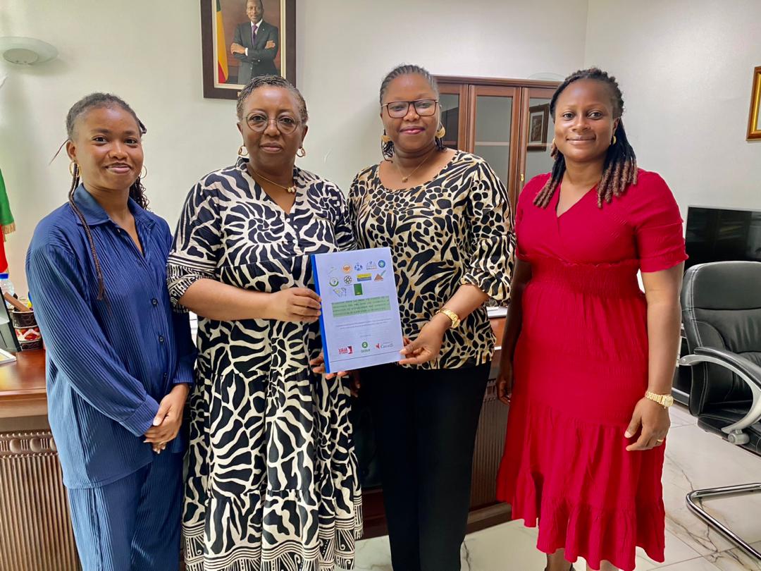 Les violences basées sur le genre (VBG) portent atteinte à l’autonomie, la dignité, la santé mentale et physique et la sécurité des victimes. Au Bénin 69% des femmes disent avoir subi au moins une fois des violences dans leur vie.