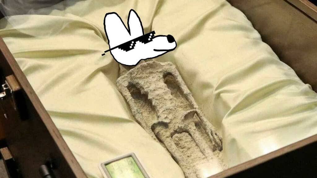 DogggoToken's tweet photo. Uf Uf!! 👽

#DOGGGO #UFO #Alien #memes https://t.co/hs0z6j4IHk