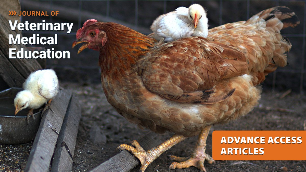Journal of Veterinary Medical Education (JVME) tweet media