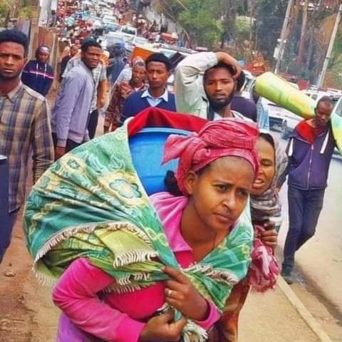 ejig_ayehu's tweet photo. State sponsored #AmharaGenocide is happening in slow motion…The world ignored #bedeno, #guraferda, #maikadra etc. in the 90s.
The fascist Abiy government is now officially executing genocide like it has never happened in #Ethiopia.
@ayfaraho @amnesty @Ana_abdulaziz55 @USEmbassy https://t.co/DLVoRHqeKG