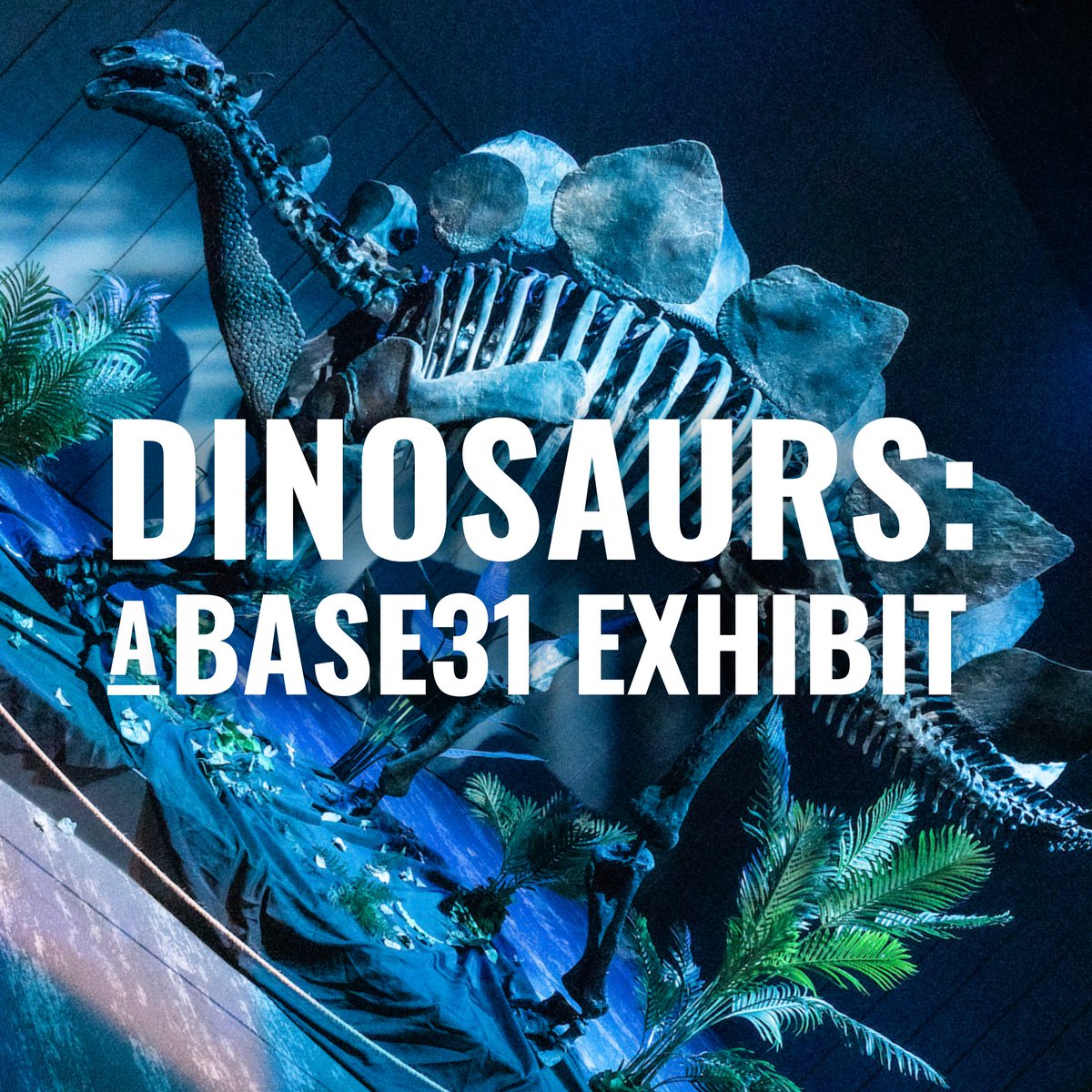 Base31PEC tweet media