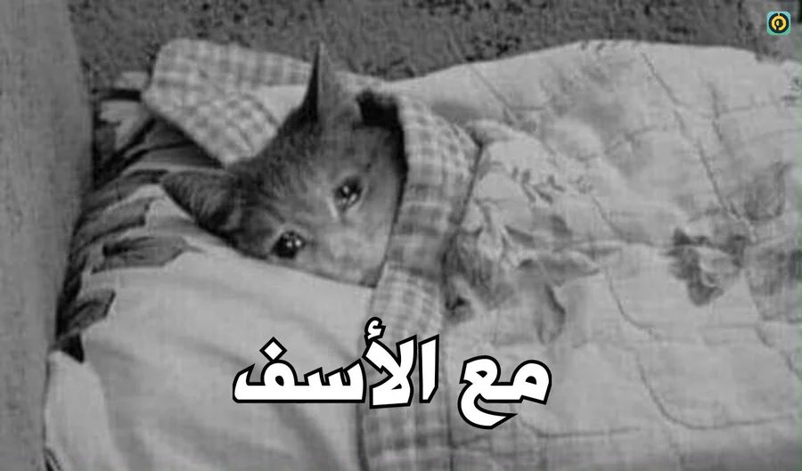 هتيجي سنة 2024 و انت مع مين ؟
=...