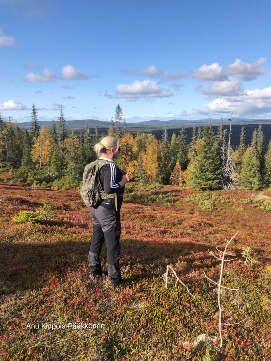 Anu Kippola-Pääkkönen tweet media