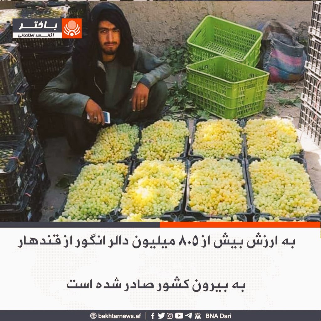 EzatGhafoori36's tweet photo. #Bakhtar 

Grapes worth 805 million dollars have been exported from Kandahar to other countries. https://t.co/3EL0RfnIT9