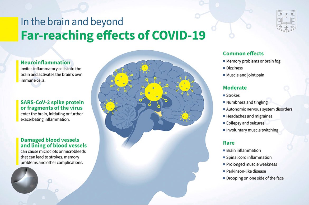 If you’re not going to wear an N95 & choose to keep getting reinfected over & over with SARScoV2… 

then at least learn the signs of #brainDamage #earlyOnsetDementia #cognitiveDecline (PS: #brainFog is brain damage)

#COVIDisVASCULAR 
#COVIDisAirborne aerosol