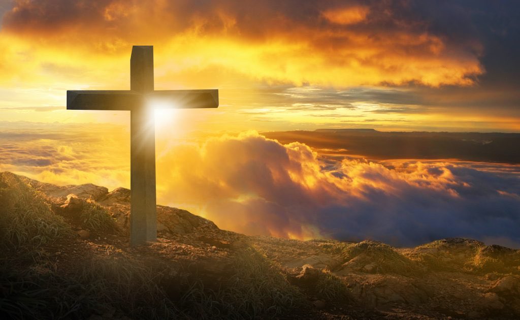 GothicOne3's tweet image. I will destroy you @JMontFocus, you desecrated my wife’s grave!!!!! You wanted to get even with me?? Congrats, you just sealed your fate as I will crucify you at the @WGWF2023 #CANNABISCUP!!!!!