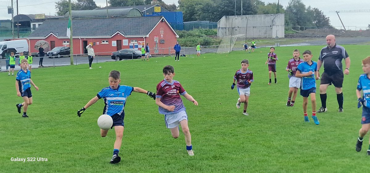 Christ the King B.N.S. tweet media