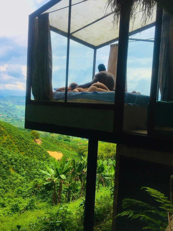 canabisbrasil's tweet photo. Eu vc uns beck’s e essa vista 😍 https://t.co/3iU9GqAZ4P