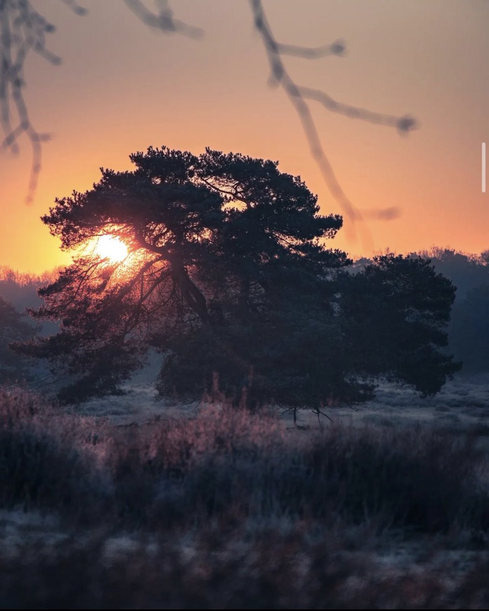 What a beautiful day.