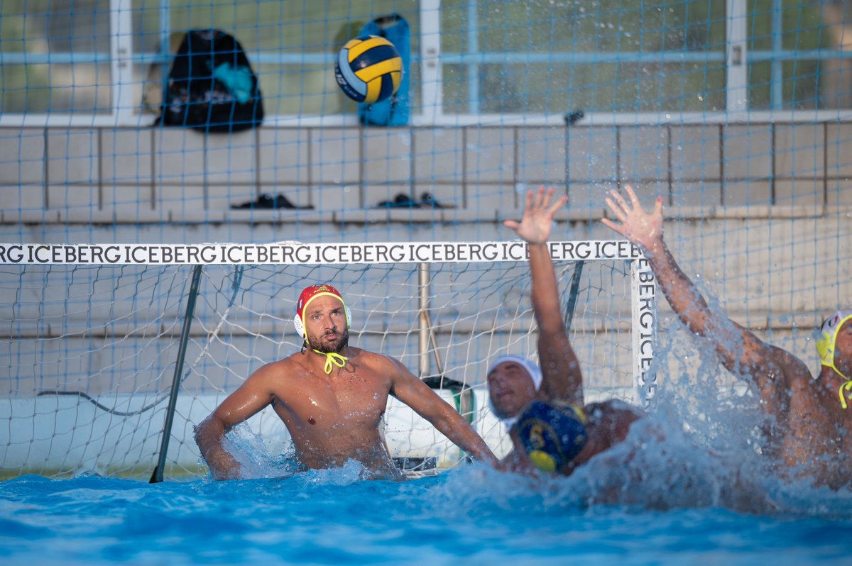 Pro Recco tweet media