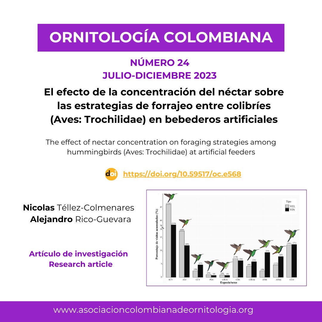 Abrimos el numero 24 de la revista #OrnitologiaColombiana 👉asociacioncolombianadeornitologia.org/ojs/index.php/…