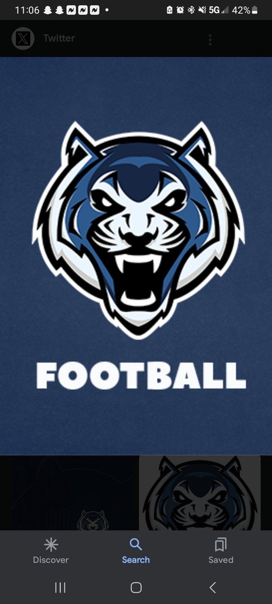 chavez nelson tweet media