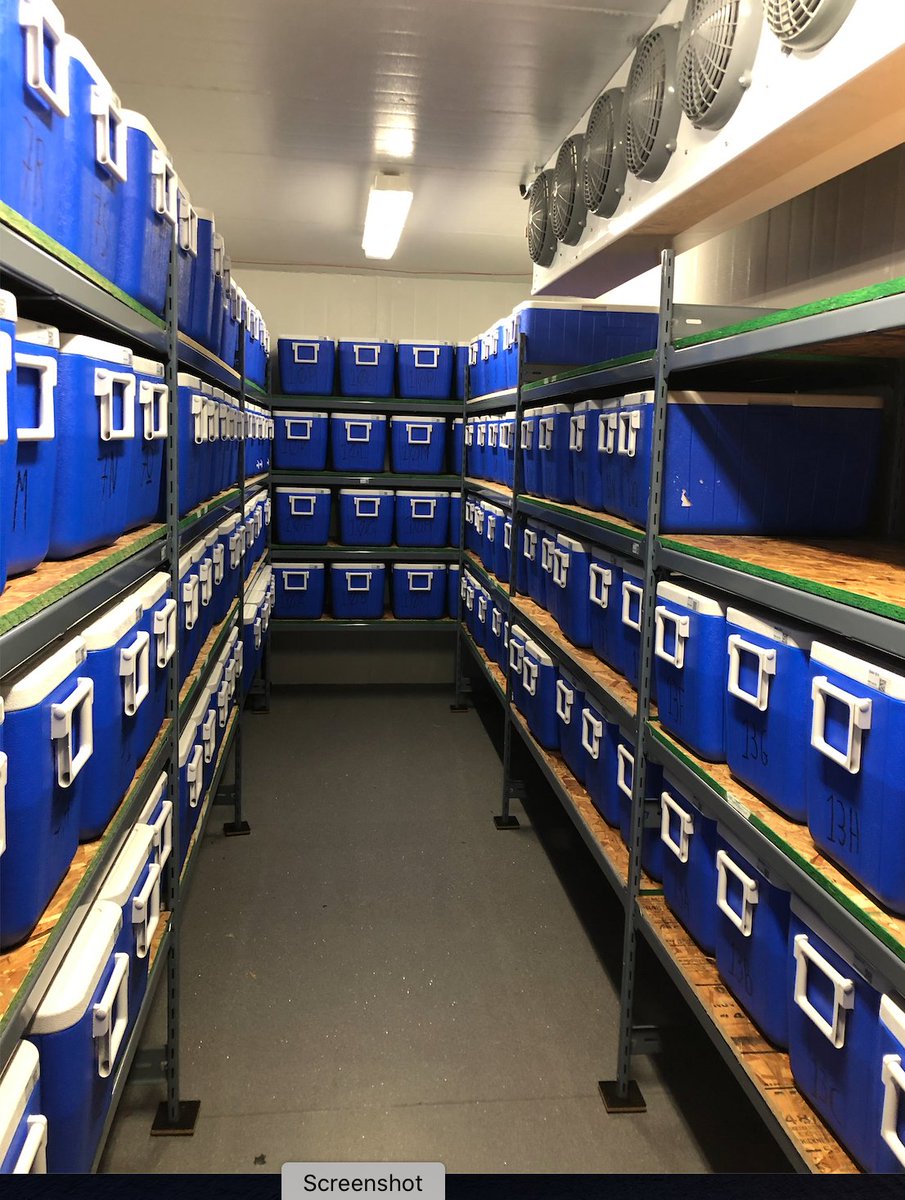 tephrafan's tweet image. The new website for the Permafrost ArChives Science Lab is up. PACS is a multi-user facility and the first ice core style lab dedicated to permafrost science and engineering, inlud. dedicated facilities for CT and core scanning, ancient eDNA clean labs..
sites.google.com/ualberta.ca/pa…