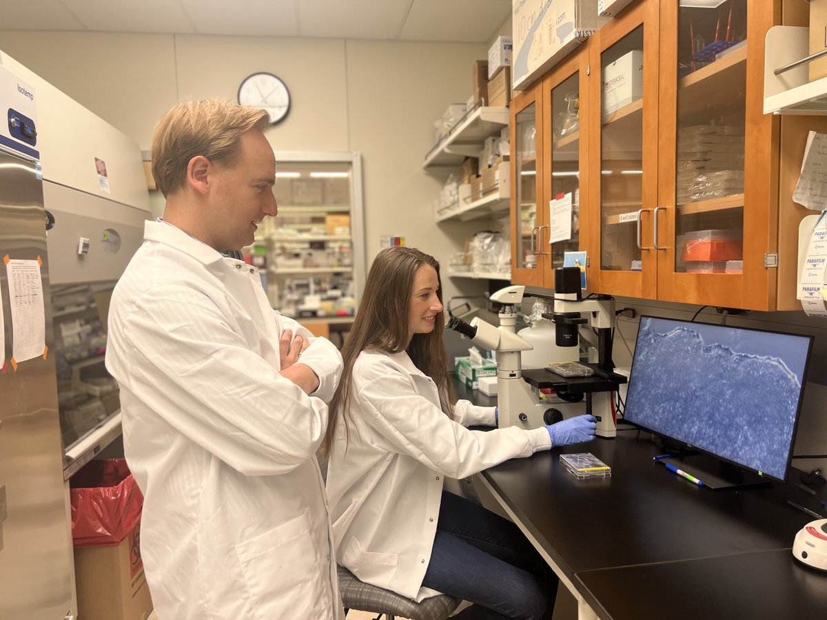 Stem Cell Podcast (@stemcellpodcast) on Twitter photo Next week's episode features Drs. Thorold Theunissen and <a href="/RowanKarvas/">Rowan M. Karvas</a> from @WUSTL!
🤯 Check out their brand new <a href="/CellStemCell/">Cell Stem Cell</a> article on 3D-cultured #blastoids: bit.ly/3RqTa7U Next week's episode features Drs. Thorold Theunissen and <a href="/RowanKarvas/">Rowan M. Karvas</a> from @WUSTL!
🤯 Check out their brand new <a href="/CellStemCell/">Cell Stem Cell</a> article on 3D-cultured #blastoids: bit.ly/3RqTa7U