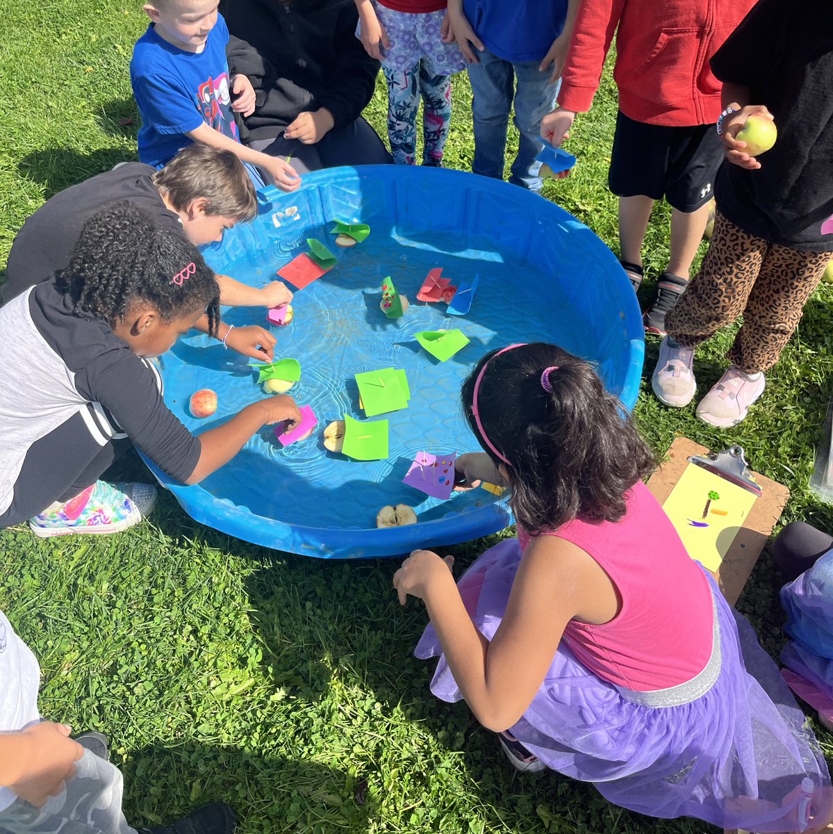 Hogg’s Ones tweet media