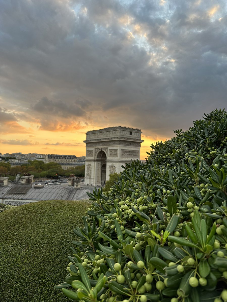 kersiny's tweet image. Soirée autour du sponsoring pour la Coupe du Monde de rugby 🏉 à Vivendi, pour les collaborateurs avec jeux, surprises, cocktail ! Au top avant le match ! 
#RWC2023 #Cominterne #XVdeFrance #SoireeAvecVue