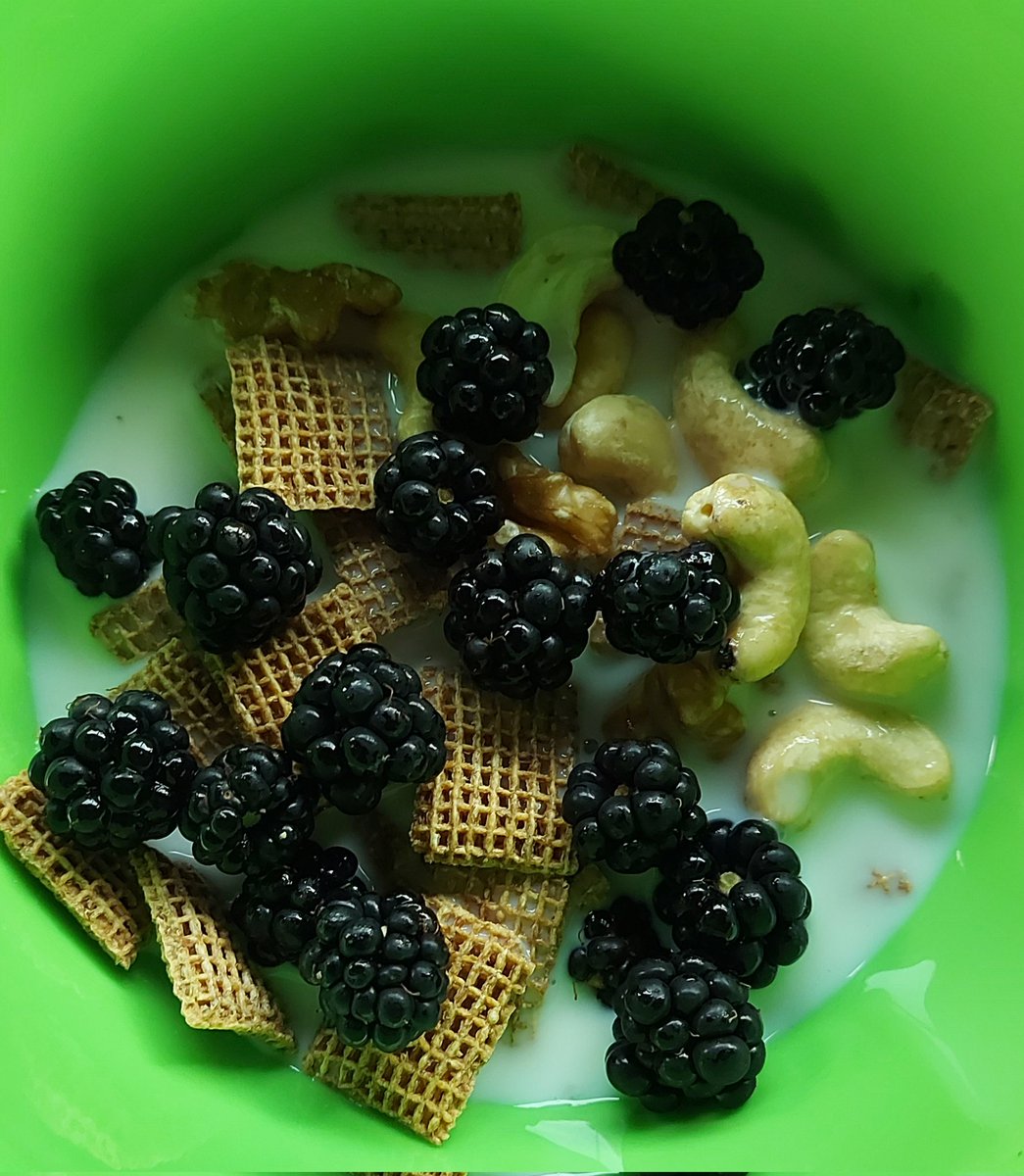 Foraged berries... so sweet. 😋 

#foragedfood #zerowaste #zerofoodmiles
